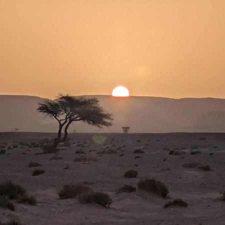 Mhamid Sahara Camp - Mhamid El Ghizlane Hotel M'Hamid Eksteriør billede