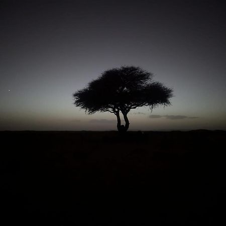 Mhamid Sahara Camp - Mhamid El Ghizlane Hotel M'Hamid Eksteriør billede