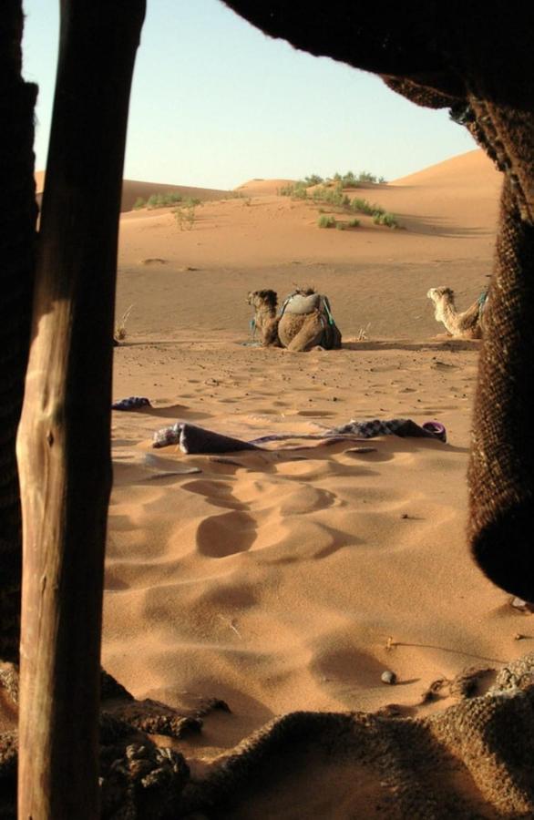 Mhamid Sahara Camp - Mhamid El Ghizlane Hotel M'Hamid Eksteriør billede