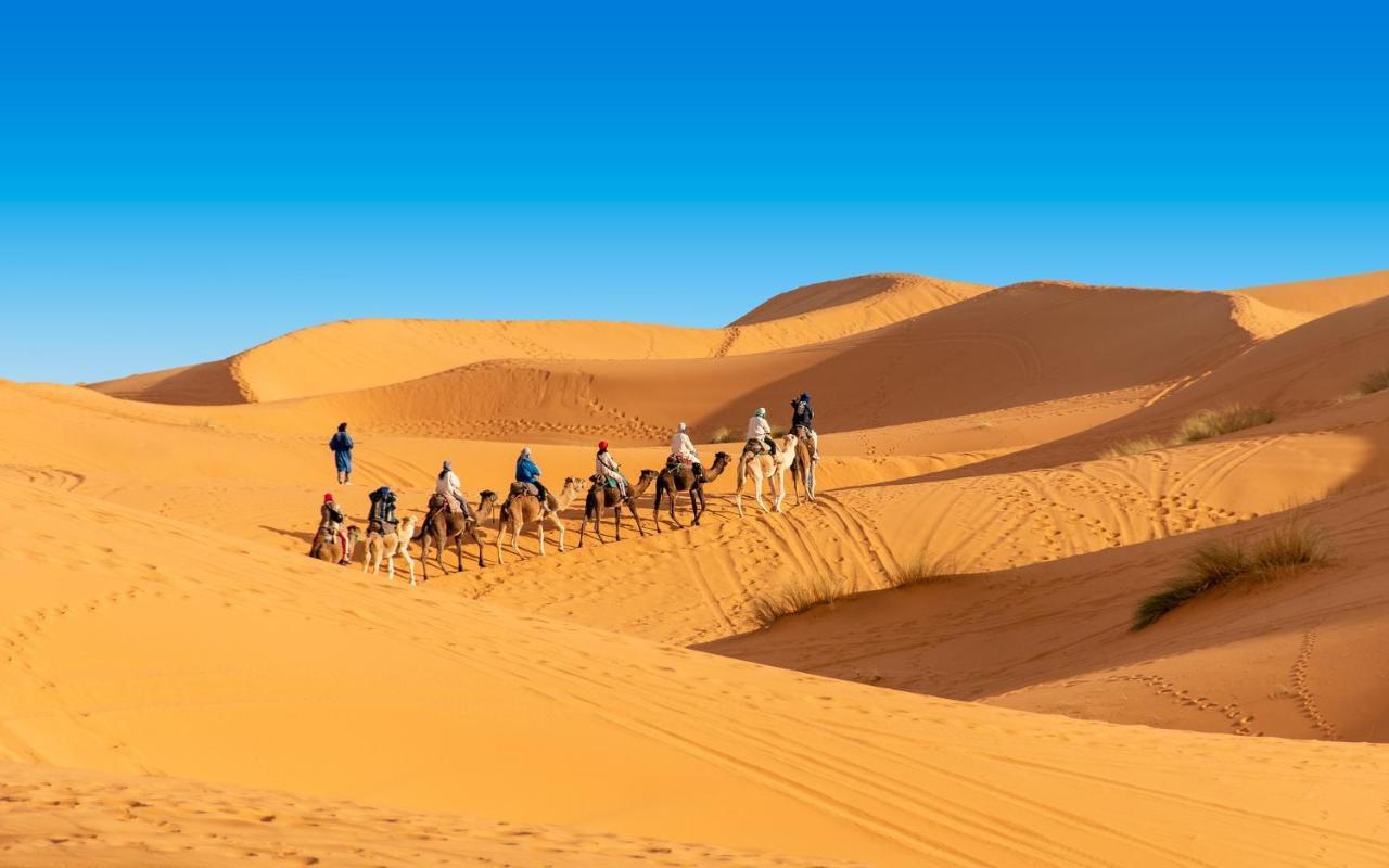 Mhamid Sahara Camp - Mhamid El Ghizlane Hotel M'Hamid Eksteriør billede