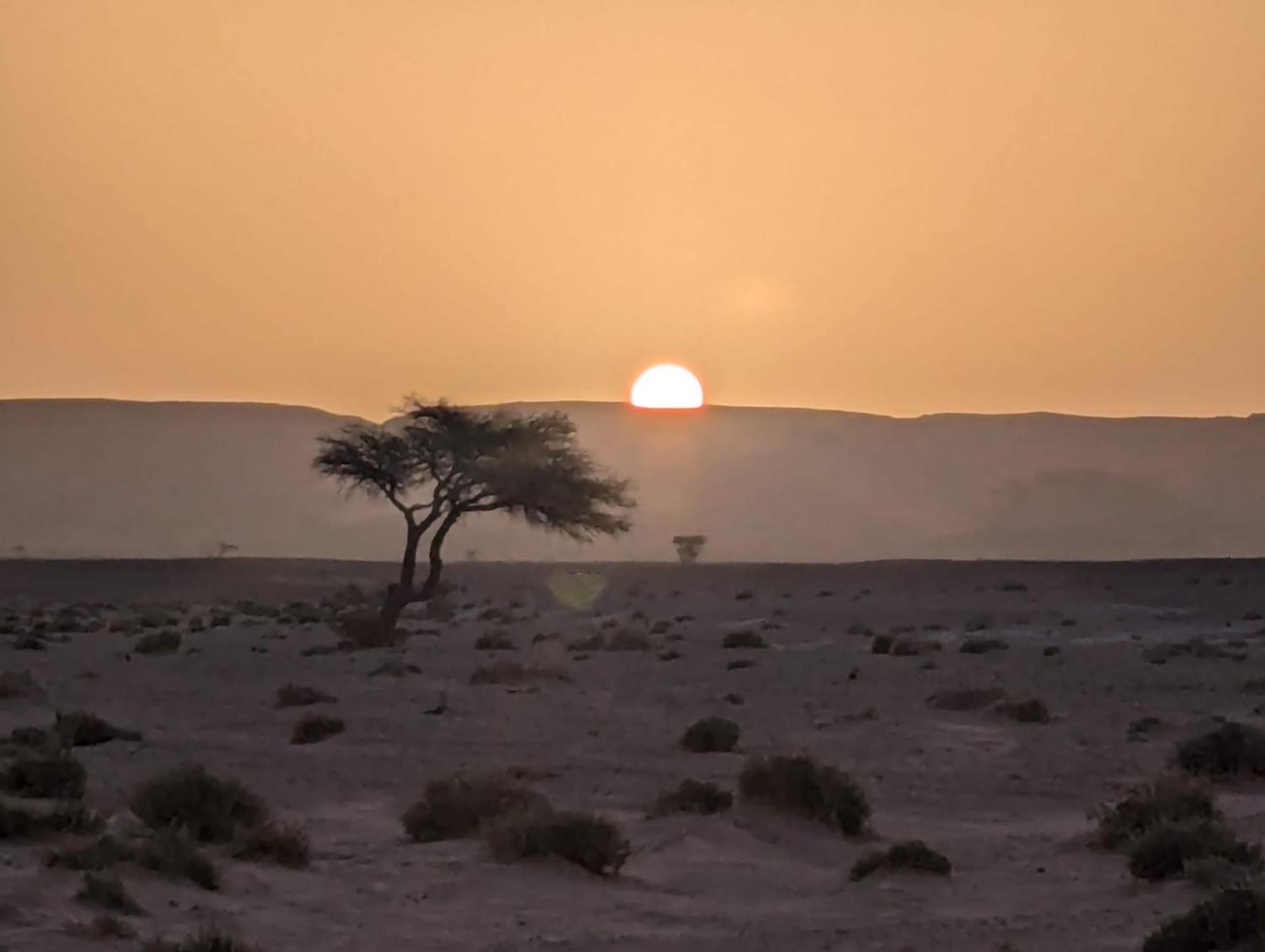 Mhamid Sahara Camp - Mhamid El Ghizlane Hotel M'Hamid Eksteriør billede