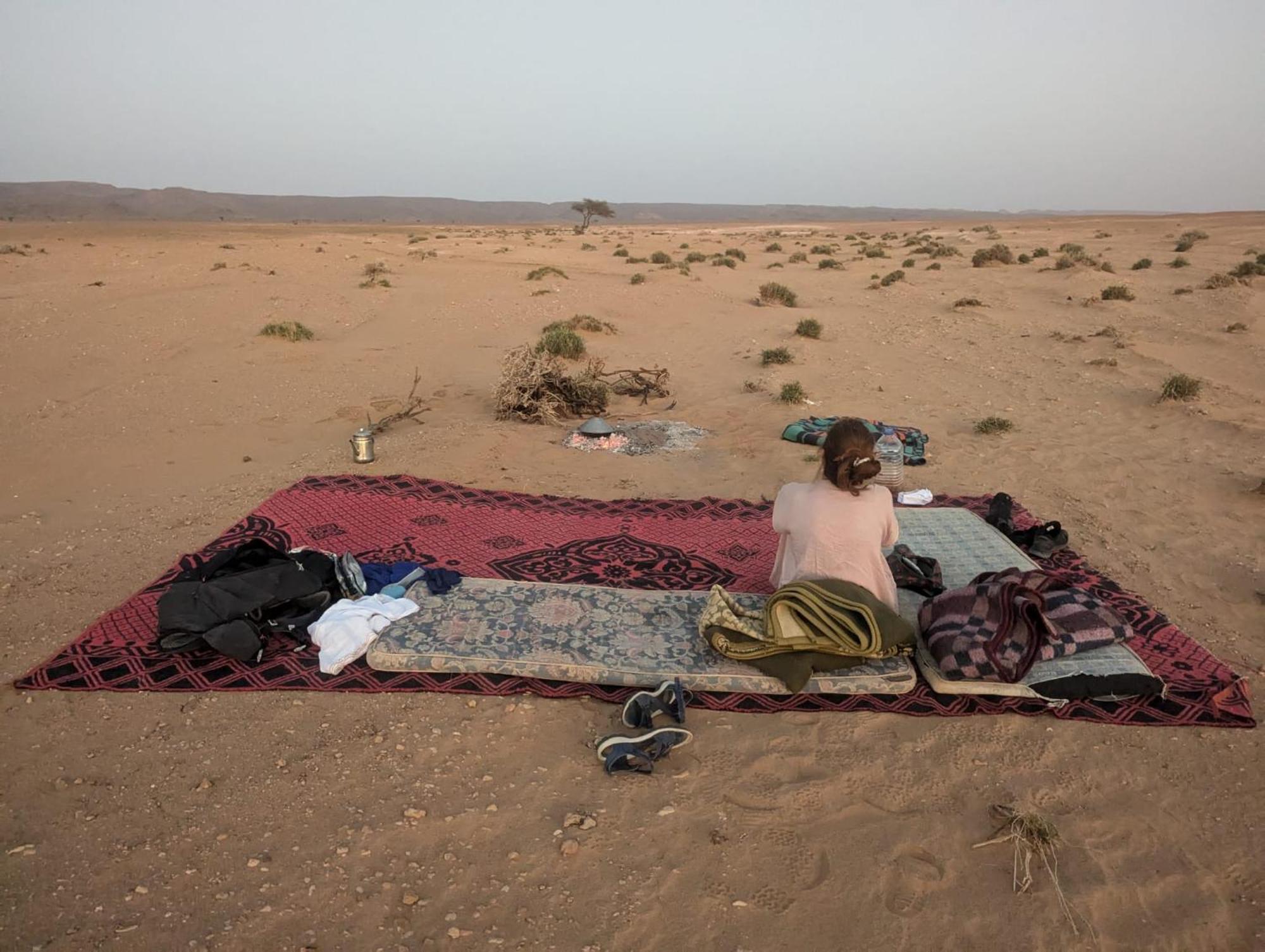 Mhamid Sahara Camp - Mhamid El Ghizlane Hotel M'Hamid Eksteriør billede